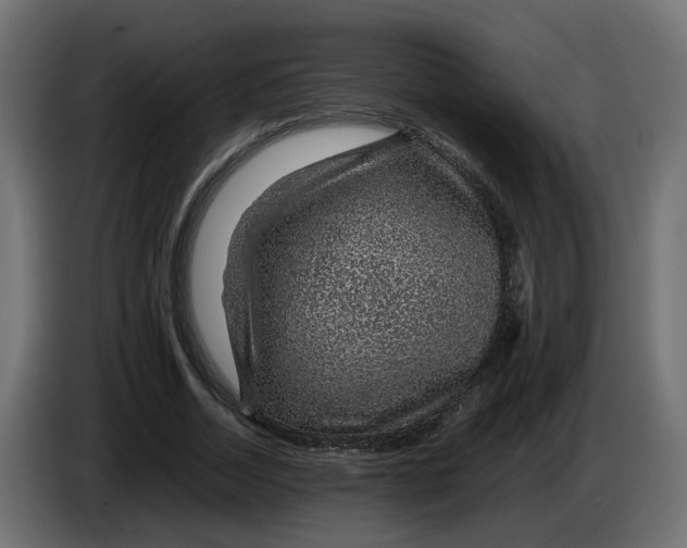 X0000083580730200703021815