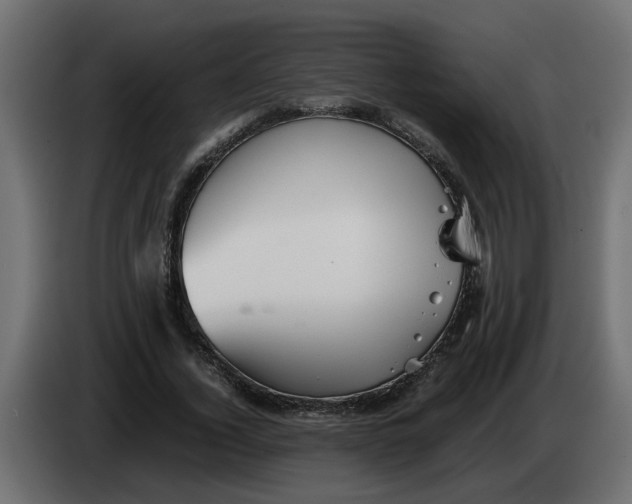 X0000083580732200703021815