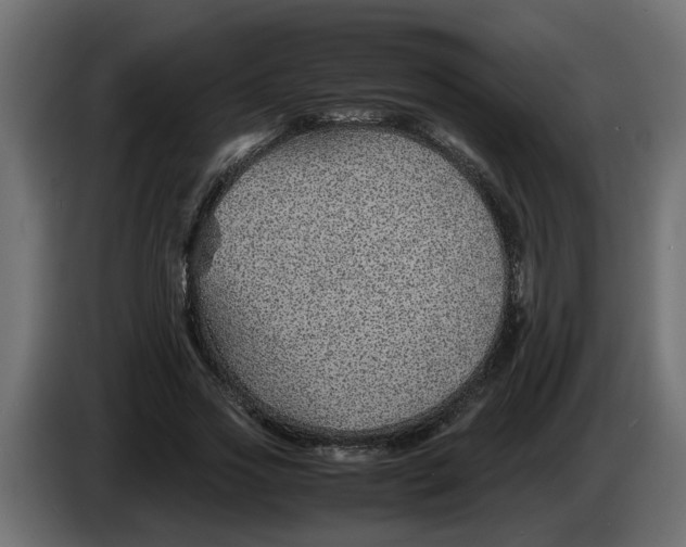 X0000083580733200703021815