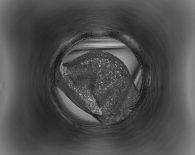 X0000083580736200703021815