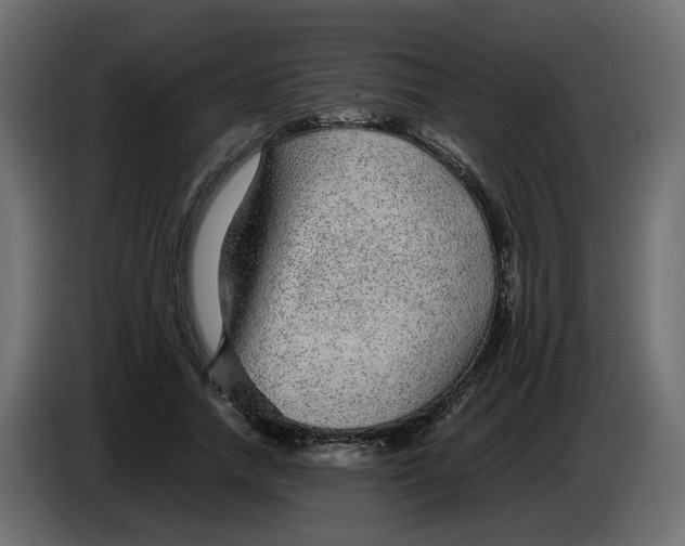 X0000083580738200703021815