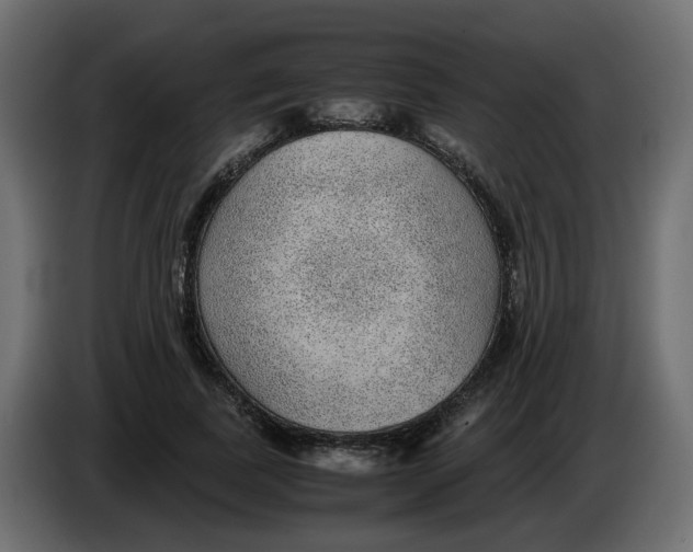 X0000083580739200703021815