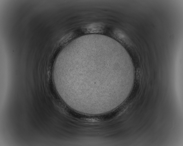 X0000083580741200703021815