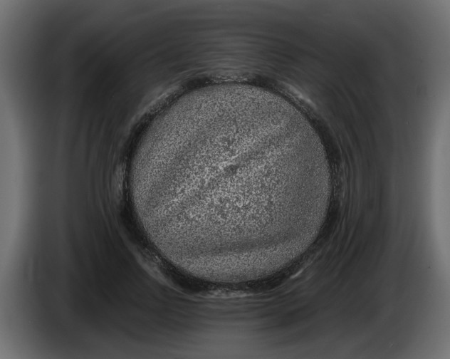 X0000083580742200703021815