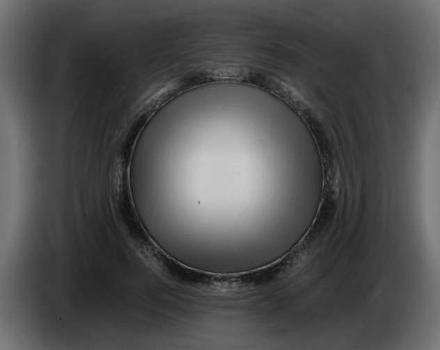 X0000083580744200703021815