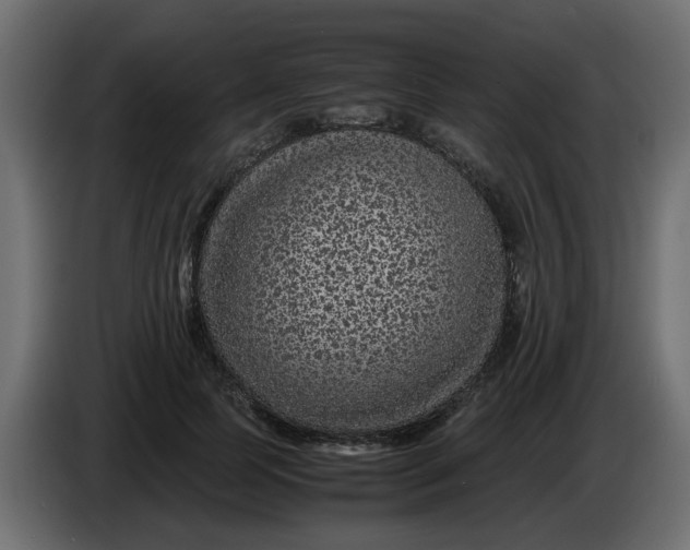 X0000083580745200703021815