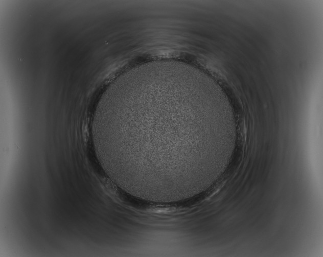 X0000083580746200703021815