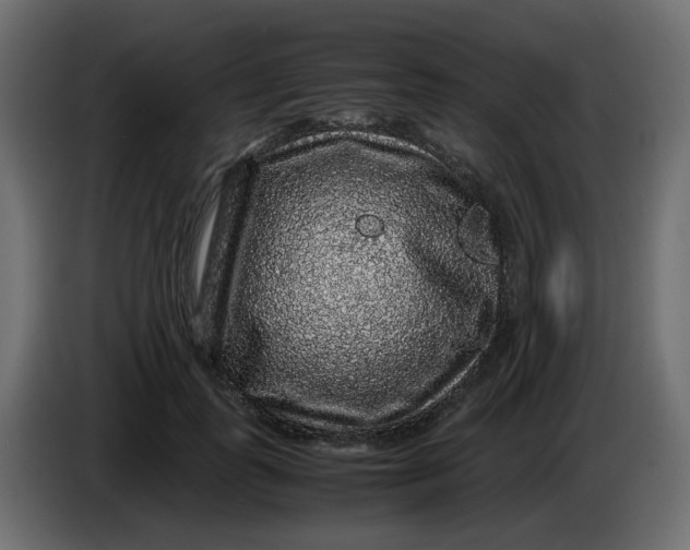 X0000083580747200703021815