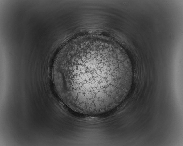 X0000083580748200703021815