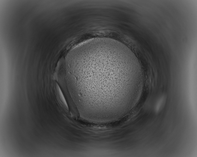 X0000083580749200703021815