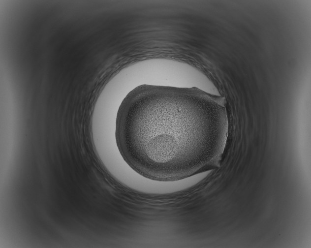 X0000083580750200703021815