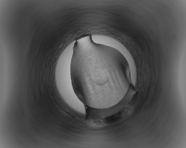 X0000083580752200703021815