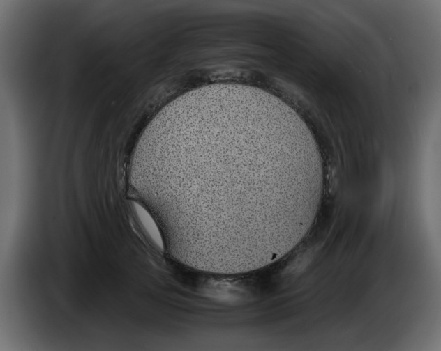 X0000083580753200703021815