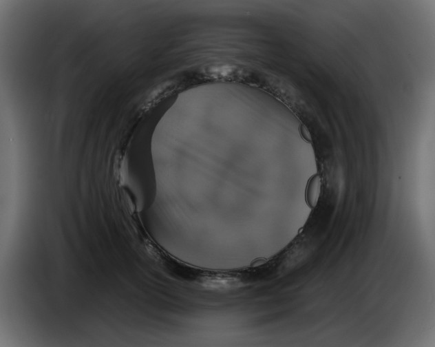 X0000083580754200703021815