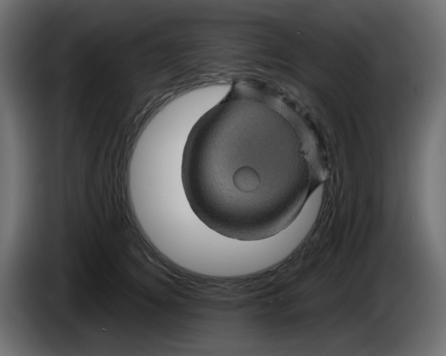 X0000083580756200703021815