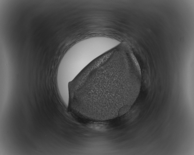 X0000083580758200703021815