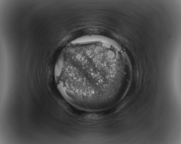 X0000083580759200703021815