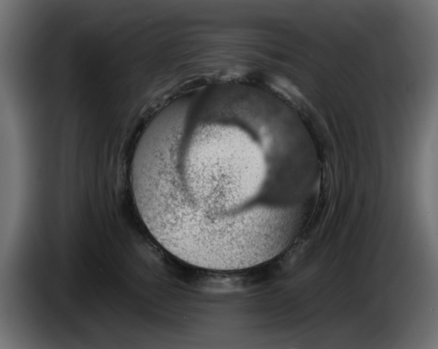 X0000083580760200703021815