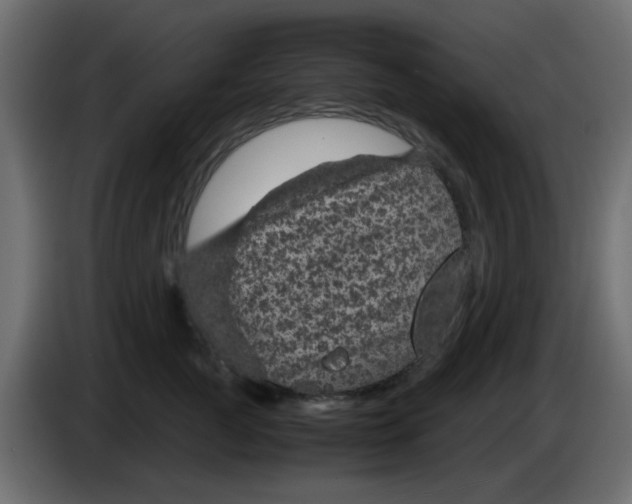 X0000083580761200703021815