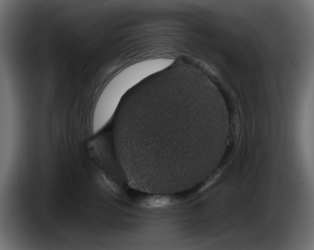 X0000083580762200703021815