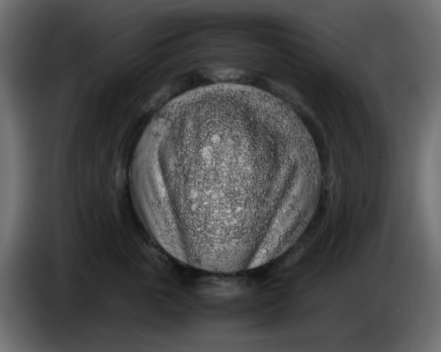 X0000083580763200703021815