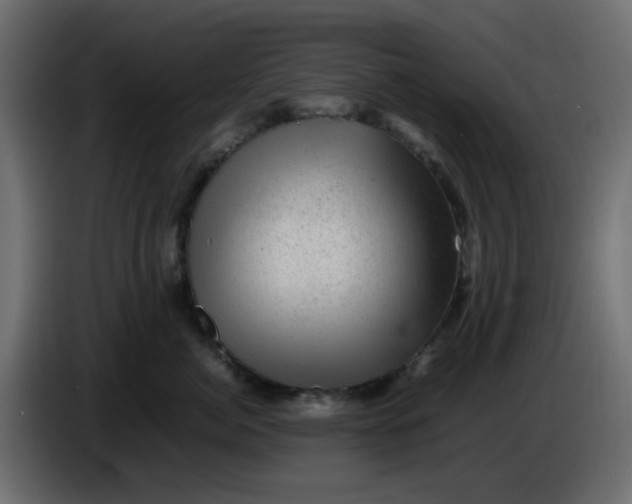 X0000083580764200703021815