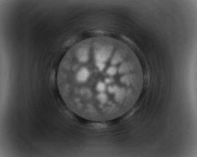 X0000083580765200703021815