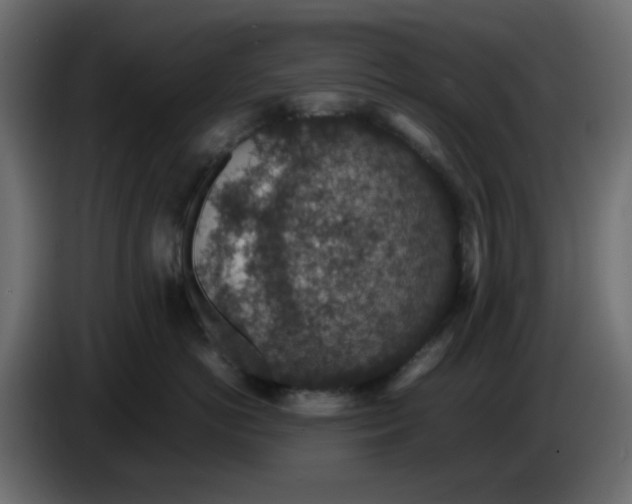 X0000083580766200703021815