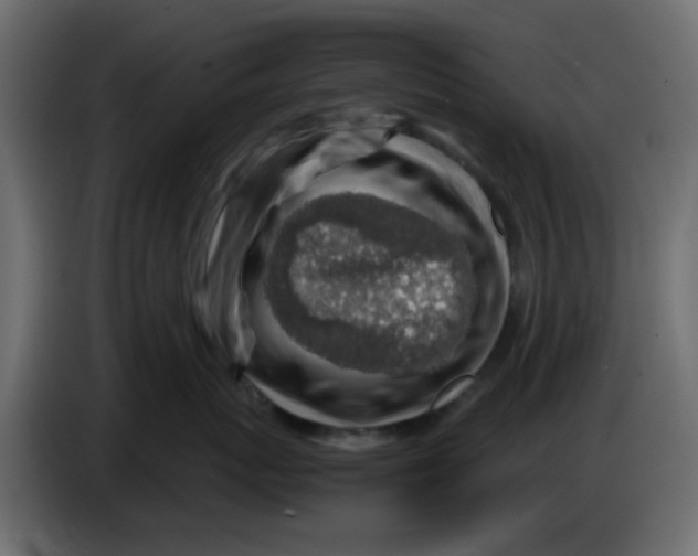 X0000083580767200703021815