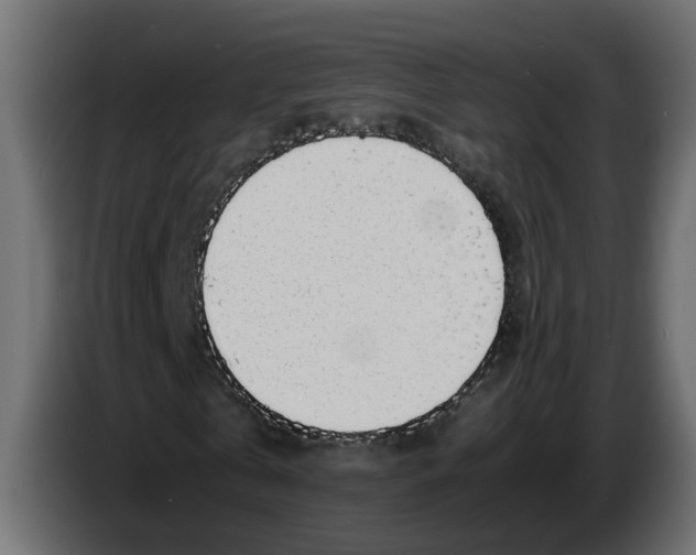 X0000083580769200703021814