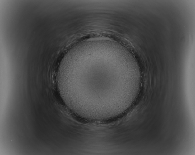 X0000083580770200703021814