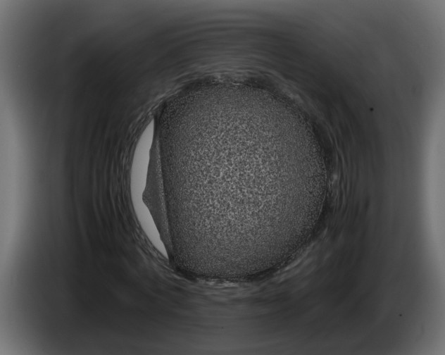 X0000083580772200703021814