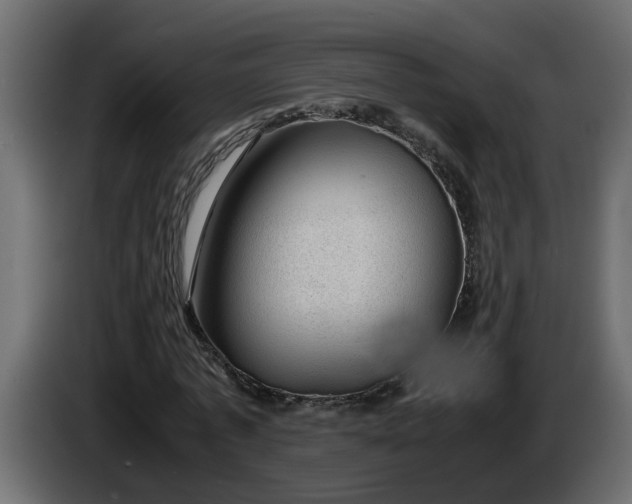 X0000083580773200703021814