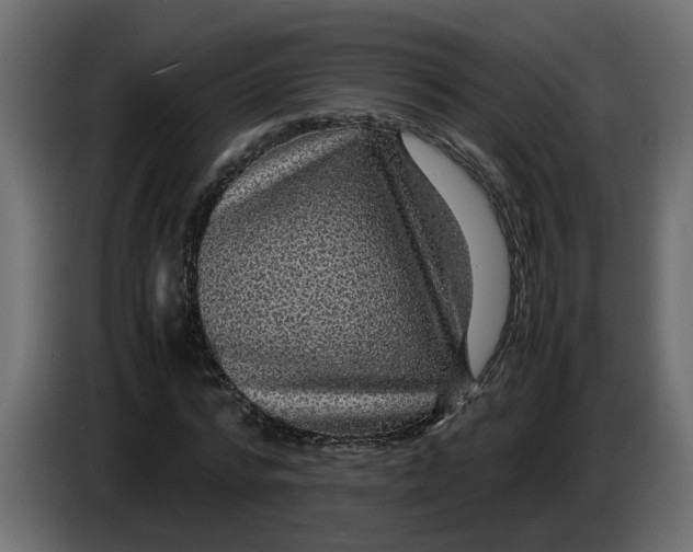 X0000083580776200703021814