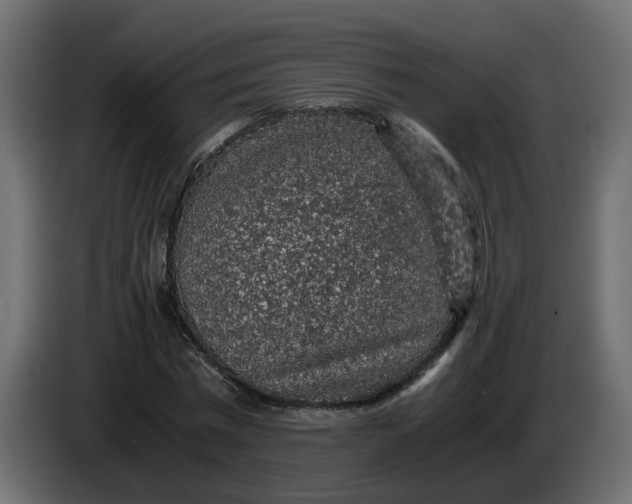 X0000083580777200703021814