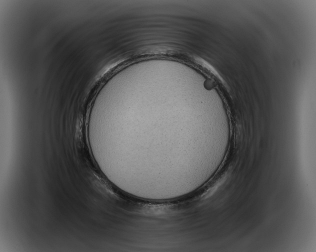 X0000083580778200703021814