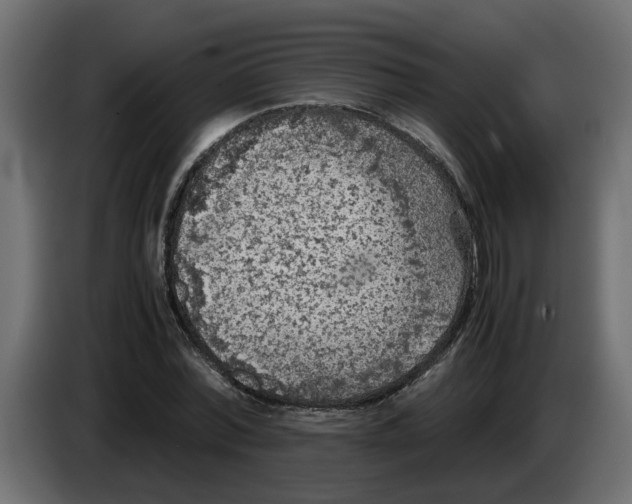 X0000083580780200703021814