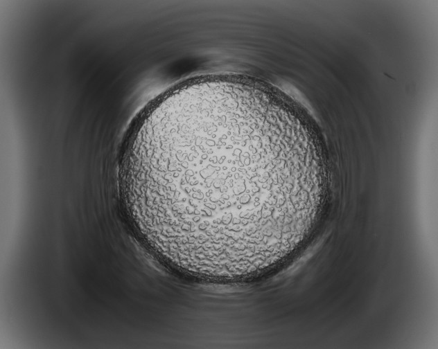 X0000083580781200703021814