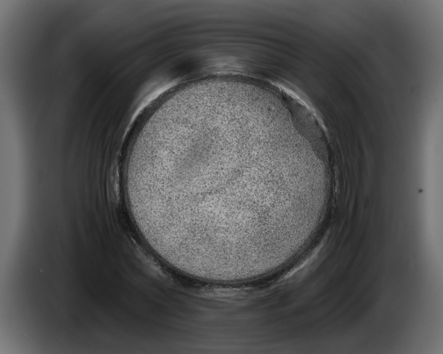 X0000083580782200703021814