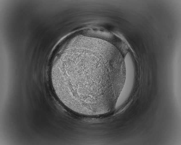 X0000083580783200703021814