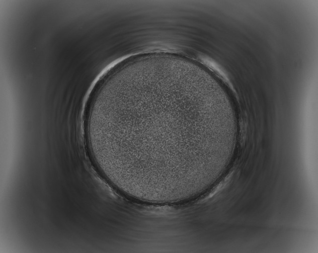 X0000083580784200703021814