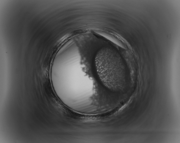 X0000083580785200703021814