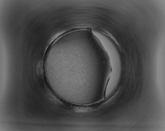 X0000083580786200703021814