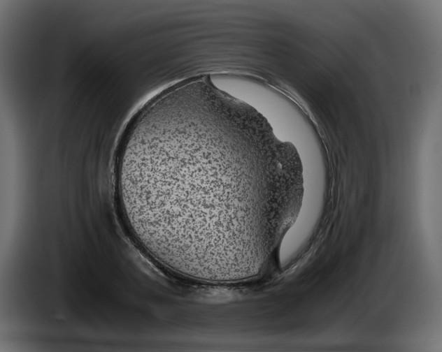 X0000083580787200703021814