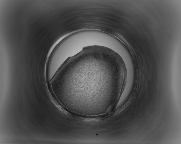 X0000083580788200703021814