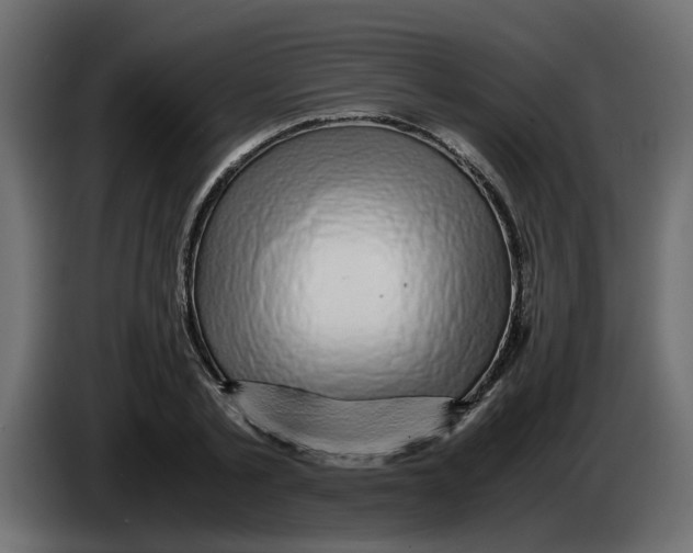 X0000083580789200703021814