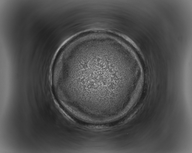 X0000083580791200703021814