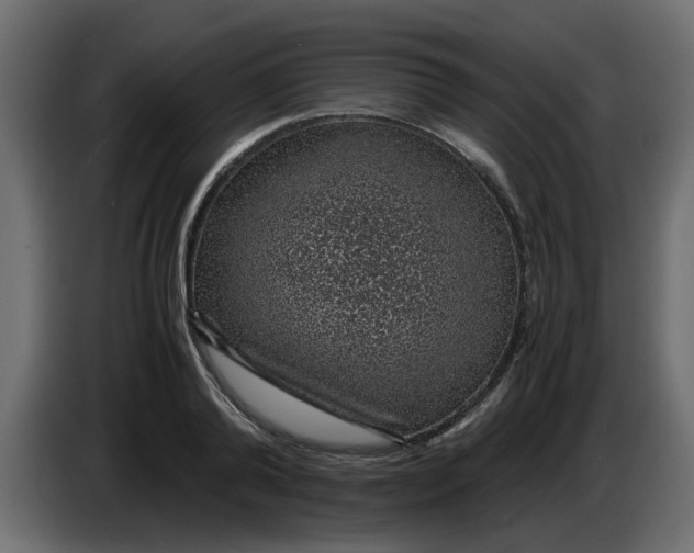 X0000083580792200703021814