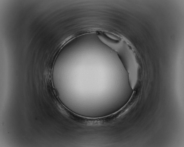 X0000083580793200703021814