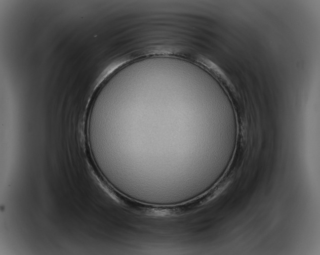 X0000083580794200703021814